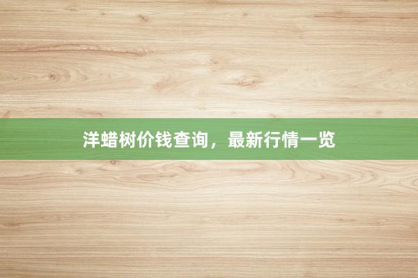 洋蜡树价钱查询，最新行情一览